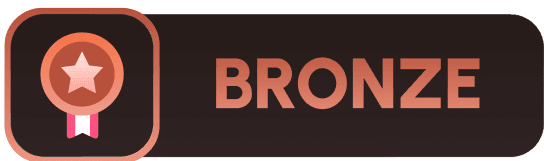 Bronze Sponsors